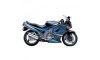 Carénage Kawasaki ZZR600 1998-2003