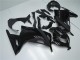 Carénages Moto Kawasaki Ninja 300 EX300R 2013-2024 - Noir Brillant Noir Mat
