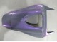 Carénages Moto Honda CBR1000RR 2006-2007 - Caméléon Gris Dazz Violet Perle