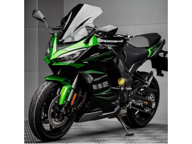 Carénage Moto Kawasaki Z1000SX 2020-2025 - Noir Vert Ninja
