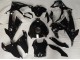 Carénage Moto BMW S1000RR 2023-2024 - Noir Brillant