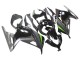 Carénages Moto Kawasaki EX300 2013-2024 - Noir Brillant Noir Mat Vert