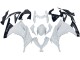 Carénages Moto Kawasaki EX300 2013-2024 - Blanc Noir