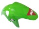 Carénage Moto Aprilia RS125 2006-2011 - Vert Blanc Noir