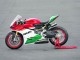 Carénages Moto Ducati 1299 2015-2020 - Blanc Rouge Vert Noir Mat