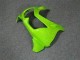 Carénages Moto Kawasaki EX250 2008-2012 - Vert Blanc Noir