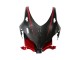Carénages Moto Honda CBR1000RR 2008-2011 - Noir Fibre de Carbone Rouge
