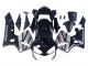 Carénages Moto Honda CBR600RR 2003-2004 - Argent Noir Brillant