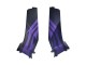Carénages Moto Honda CBR600RR 2005-2006 - Noir Mat Violet