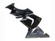 Carénages Moto Kawasaki ZX10R 2004-2005 - Ninja Noir Mat Brillant