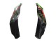 Carénages Moto Kawasaki ZX10R 2021-2025 - Vert Noir Rouge