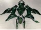 Carénages Moto Kawasaki ZX6R 2019-2022 - Vert Foncé