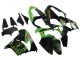 Carénages Moto Kawasaki ZX9R 2000-2001 - Vert Noir Playboy DENSO