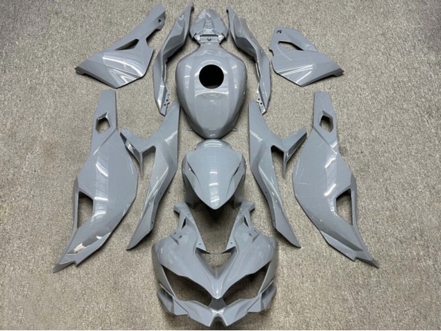 Carénages Moto Kawasaki ZX4R ZX-4RR 2019-2025 - Gris Nardo Brillant